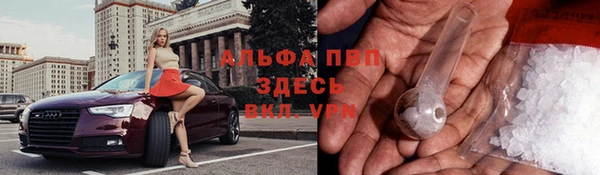 стаф Алексин