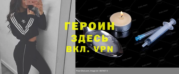 стаф Алексин