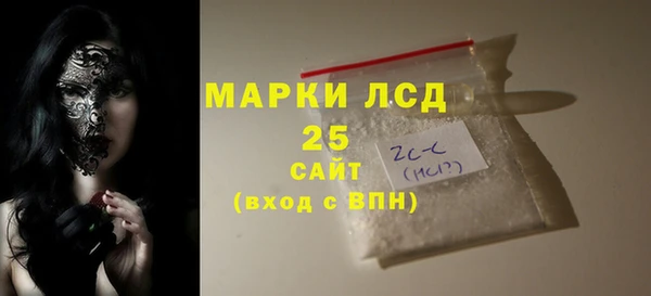 хмурый Алзамай