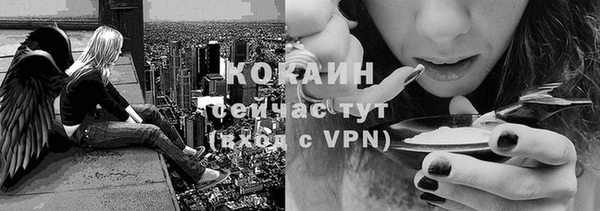 ПСИЛОЦИБИНОВЫЕ ГРИБЫ Семикаракорск